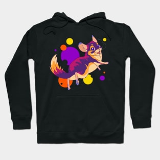 Colorful chinchilla Hoodie